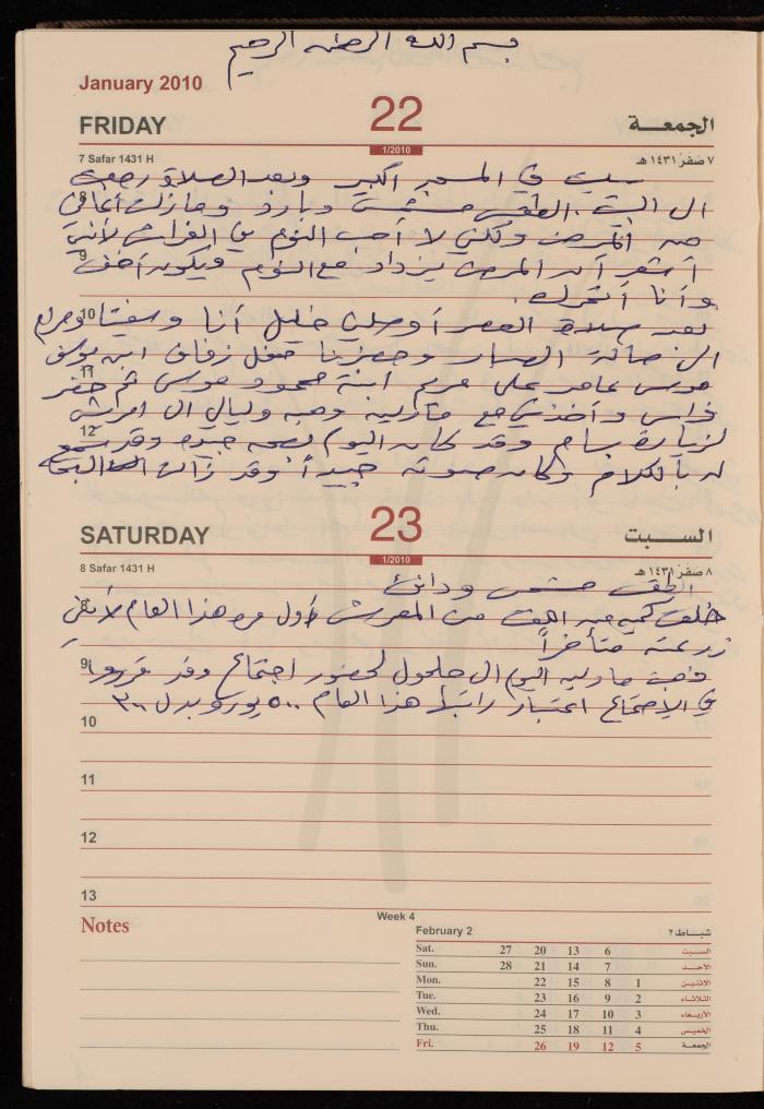 The Diary of Fadeyyeh Darabe, Dura- Hebron, 2010