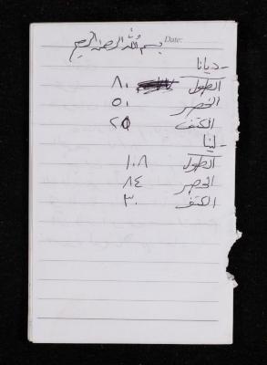 The Diary of Fadeyyeh Darabe, Dura- Hebron, 2009