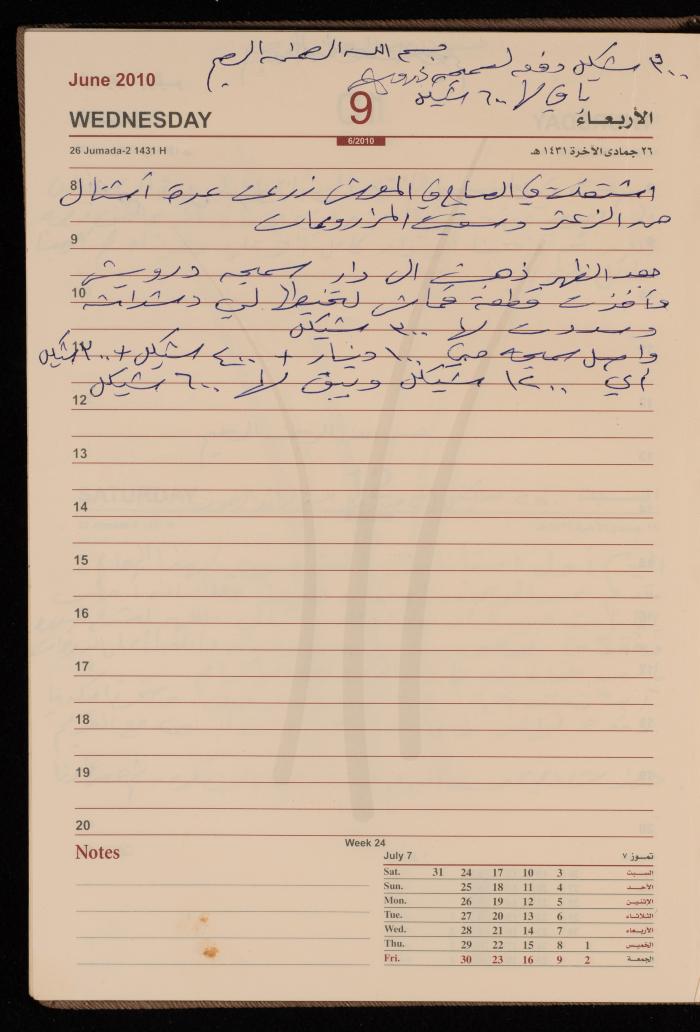 The Diary of Fadeyyeh Darabe, Dura- Hebron, 2010