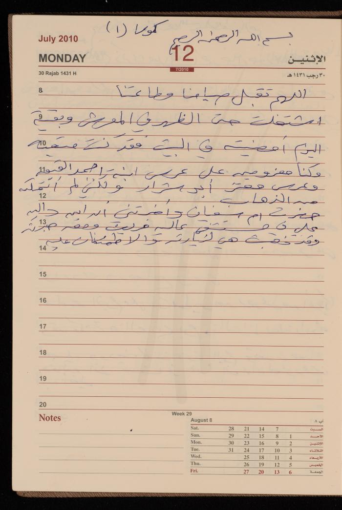 The Diary of Fadeyyeh Darabe, Dura- Hebron, 2010