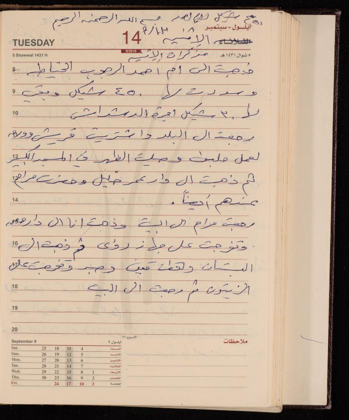 The Diary of Fadeyyeh Darabe, Dura- Hebron, 2010