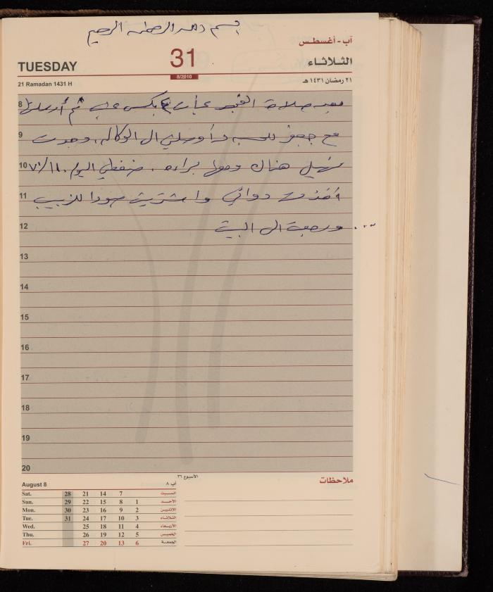 The Diary of Fadeyyeh Darabe, Dura- Hebron, 2010