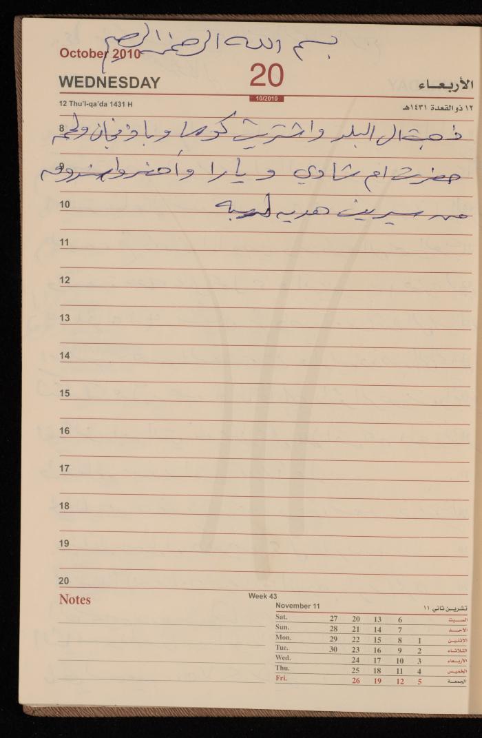 The Diary of Fadeyyeh Darabe, Dura- Hebron, 2010