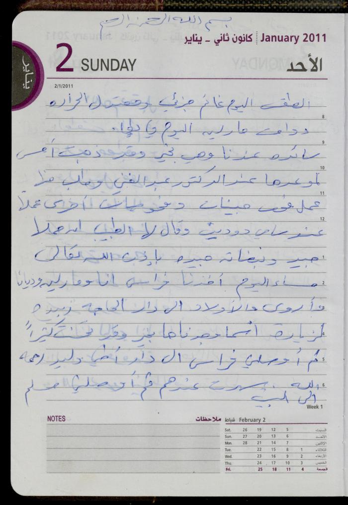 The Diary of Fadeyyeh Darabe, Dura- Hebron, 2011