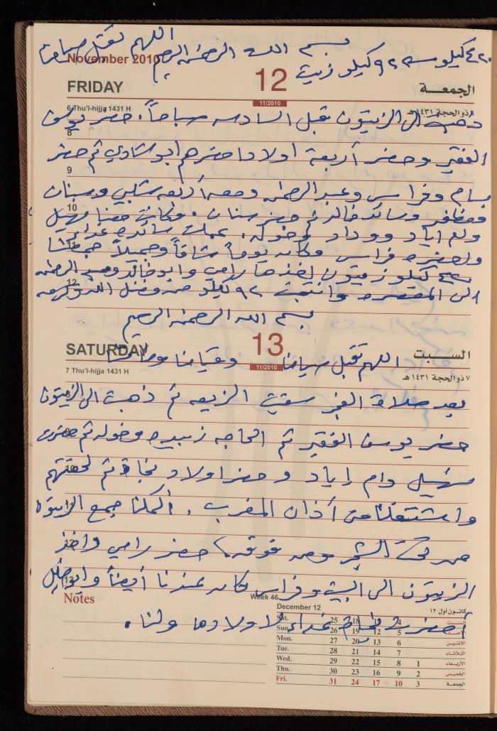 The Diary of Fadeyyeh Darabe, Dura- Hebron, 2010