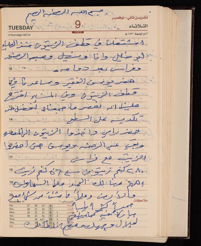 The Diary of Fadeyyeh Darabe, Dura- Hebron, 2010