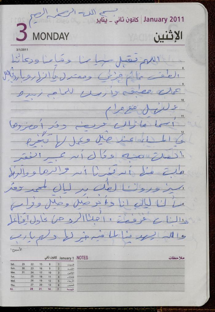 The Diary of Fadeyyeh Darabe, Dura- Hebron, 2011