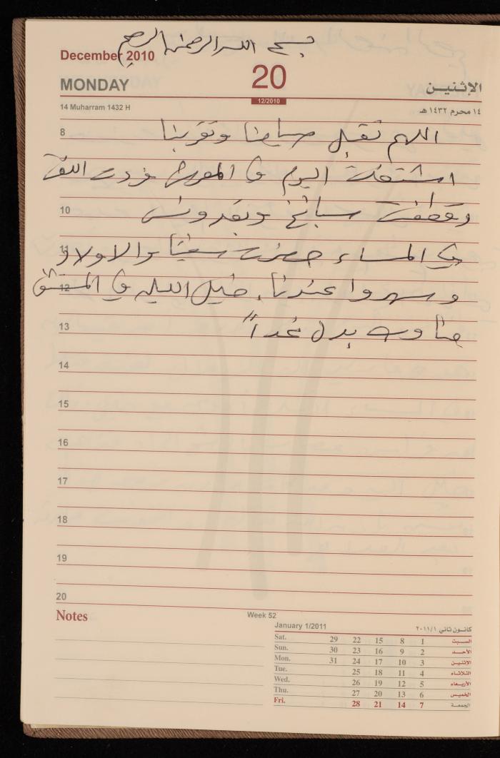 The Diary of Fadeyyeh Darabe, Dura- Hebron, 2010