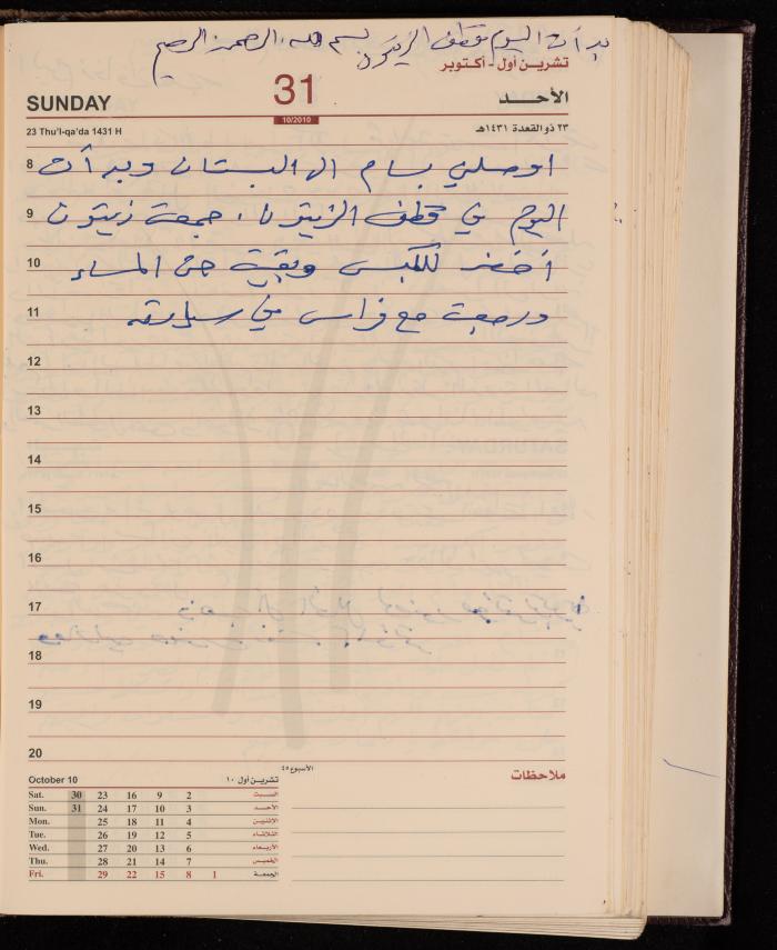 The Diary of Fadeyyeh Darabe, Dura- Hebron, 2010