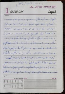 The Diary of Fadeyyeh Darabe, Dura- Hebron, 2011