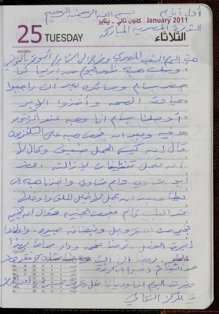 The Diary of Fadeyyeh Darabe, Dura- Hebron, 2011