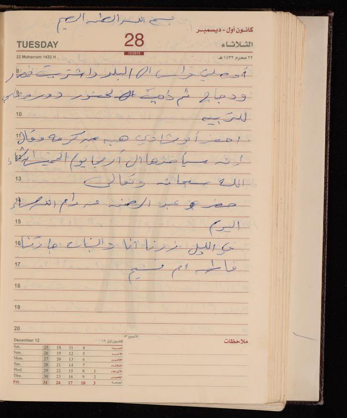 The Diary of Fadeyyeh Darabe, Dura- Hebron, 2010