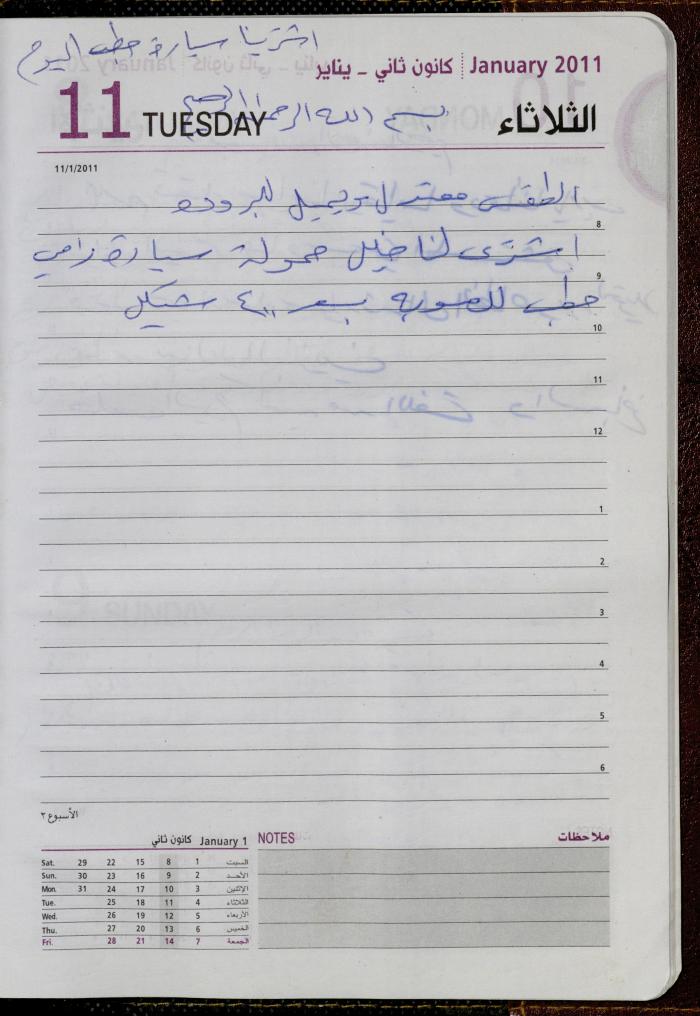 The Diary of Fadeyyeh Darabe, Dura- Hebron, 2011