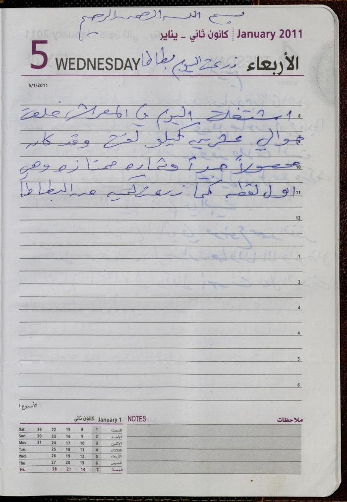 The Diary of Fadeyyeh Darabe, Dura- Hebron, 2011