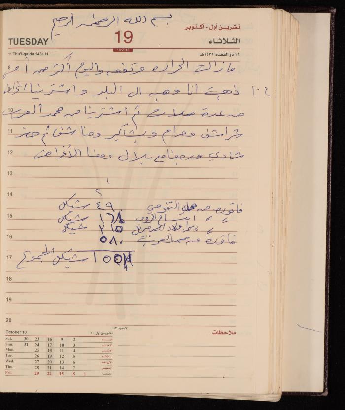 The Diary of Fadeyyeh Darabe, Dura- Hebron, 2010