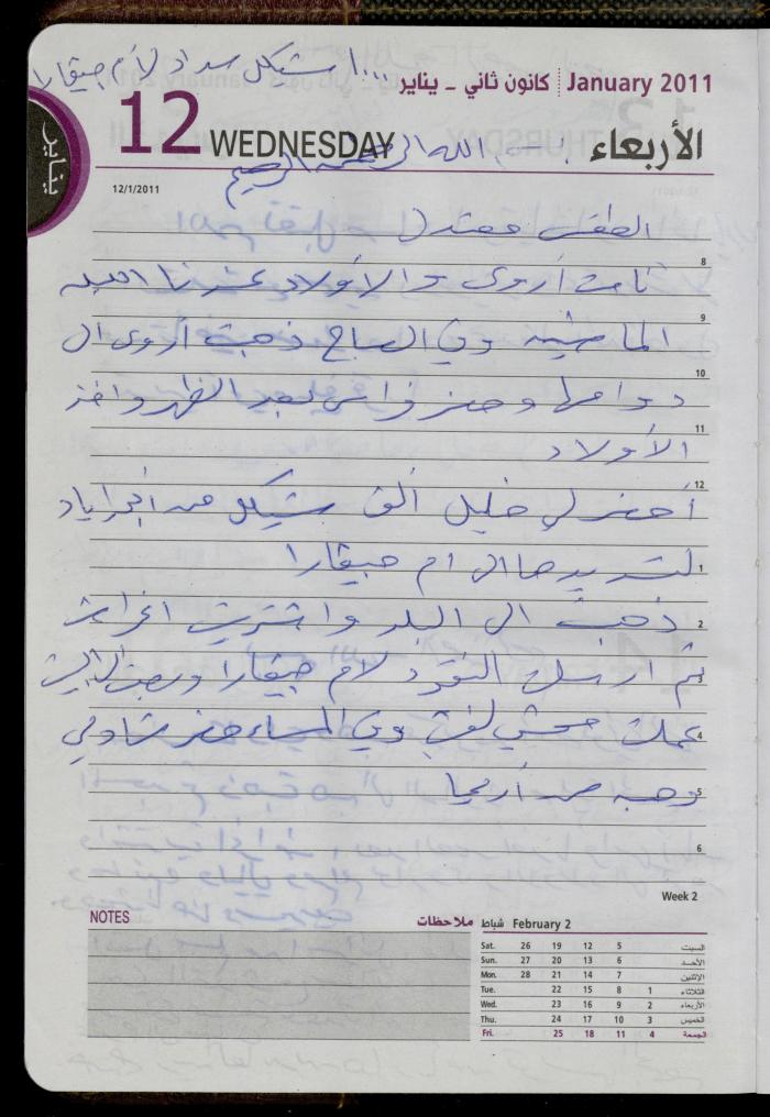 The Diary of Fadeyyeh Darabe, Dura- Hebron, 2011