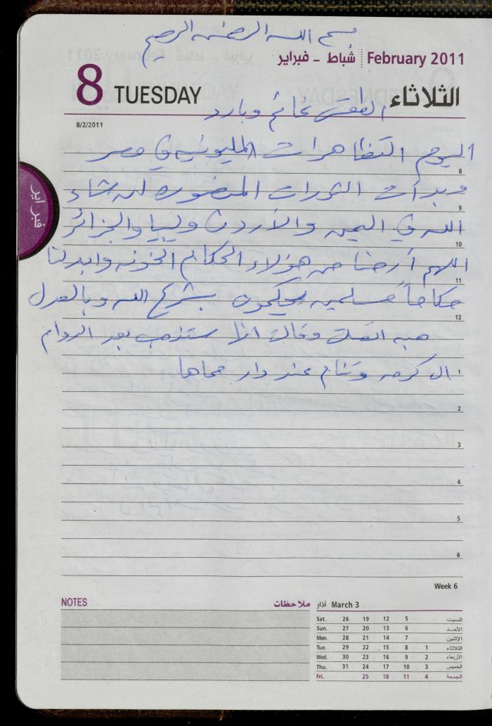 The Diary of Fadeyyeh Darabe, Dura- Hebron, 2011