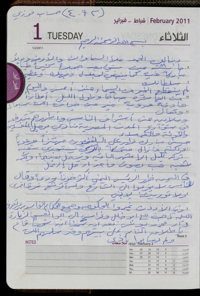 The Diary of Fadeyyeh Darabe, Dura- Hebron, 2011