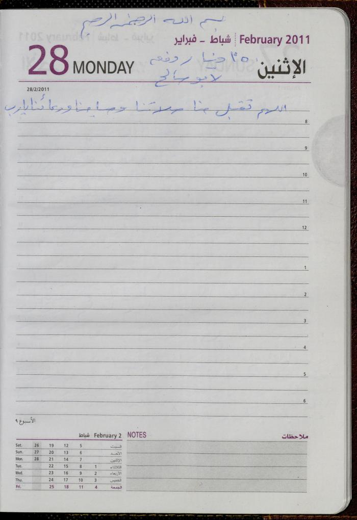 The Diary of Fadeyyeh Darabe, Dura- Hebron, 2011