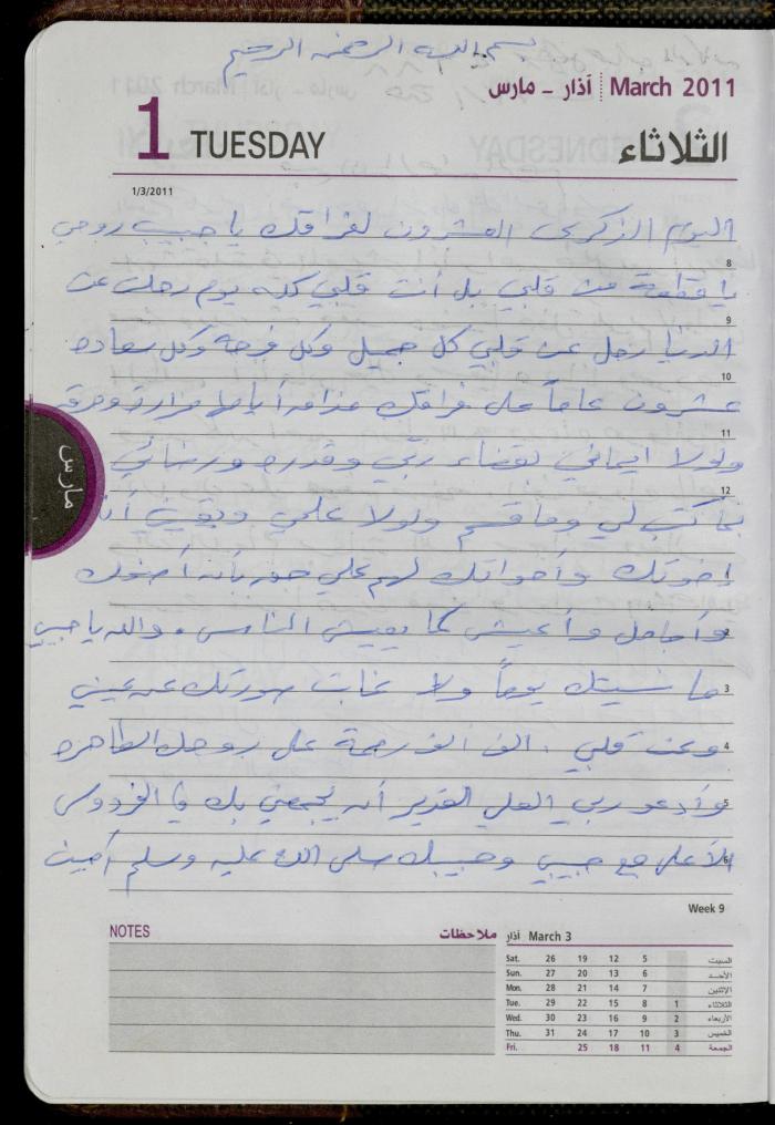 The Diary of Fadeyyeh Darabe, Dura- Hebron, 2011