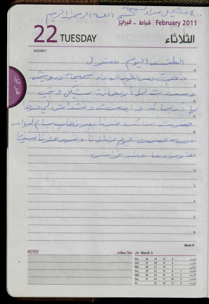 The Diary of Fadeyyeh Darabe, Dura- Hebron, 2011