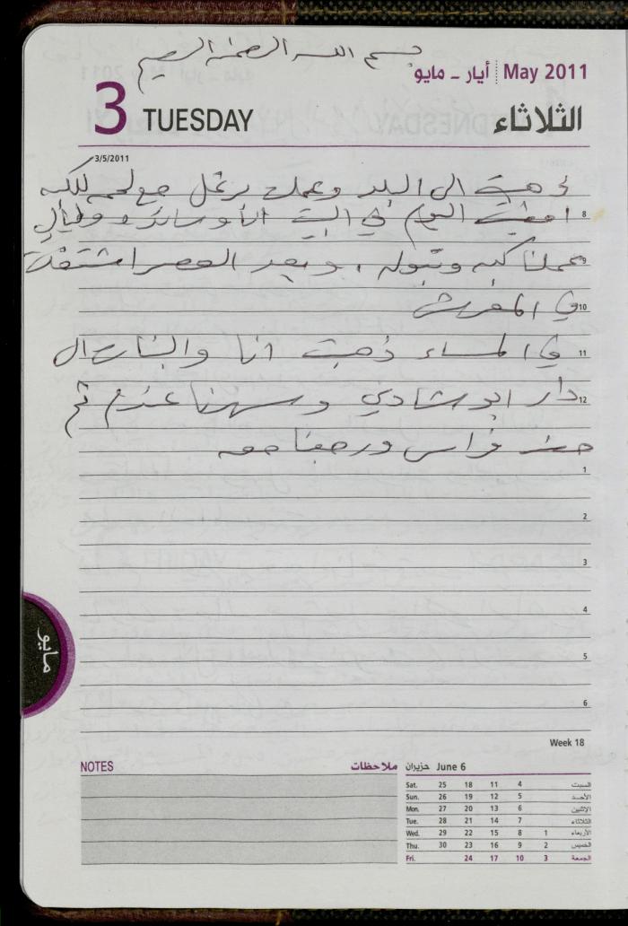 The Diary of Fadeyyeh Darabe, Dura- Hebron, 2011
