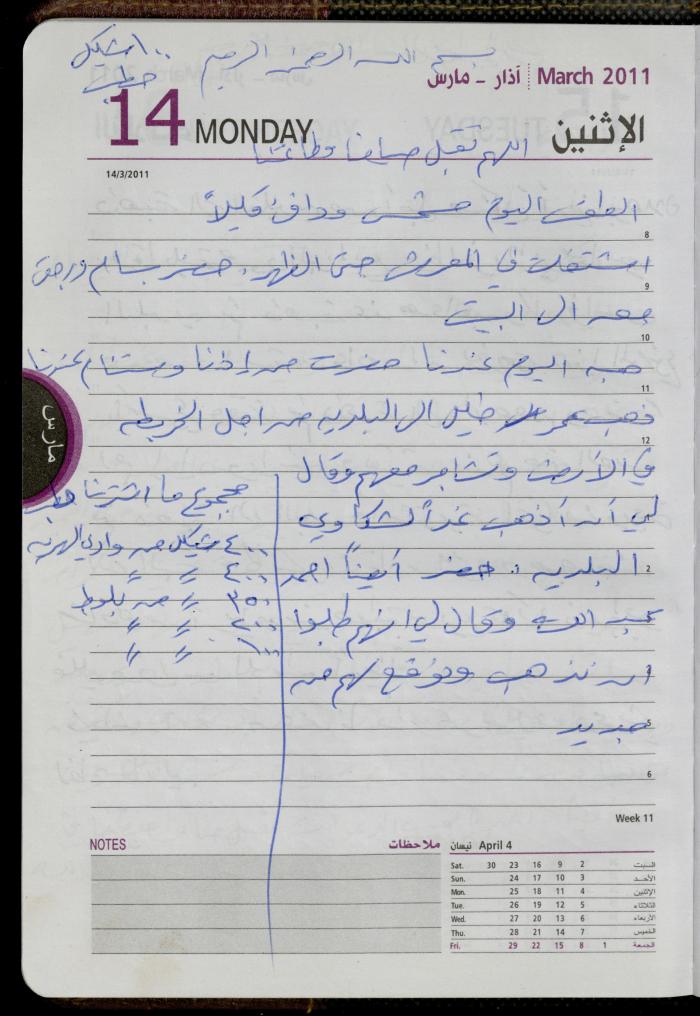 The Diary of Fadeyyeh Darabe, Dura- Hebron, 2011