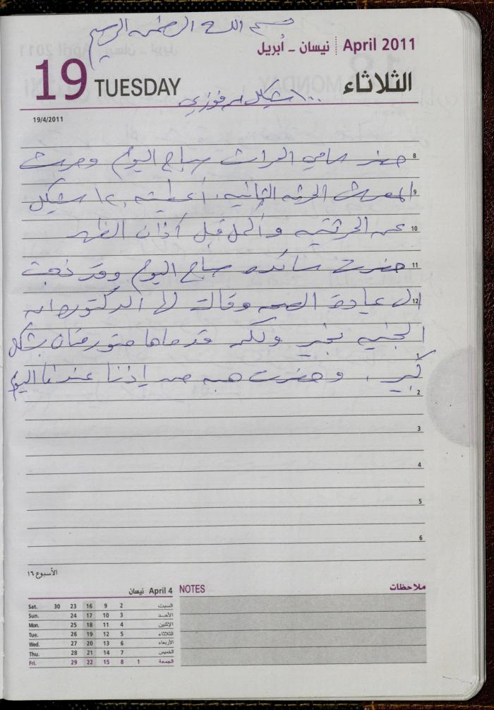 The Diary of Fadeyyeh Darabe, Dura- Hebron, 2011