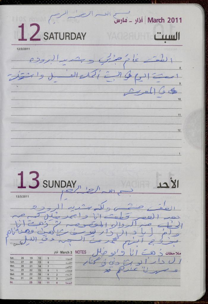 The Diary of Fadeyyeh Darabe, Dura- Hebron, 2011