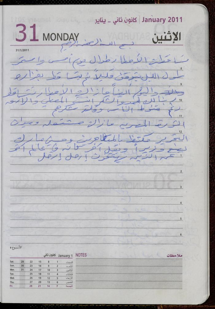 The Diary of Fadeyyeh Darabe, Dura- Hebron, 2011
