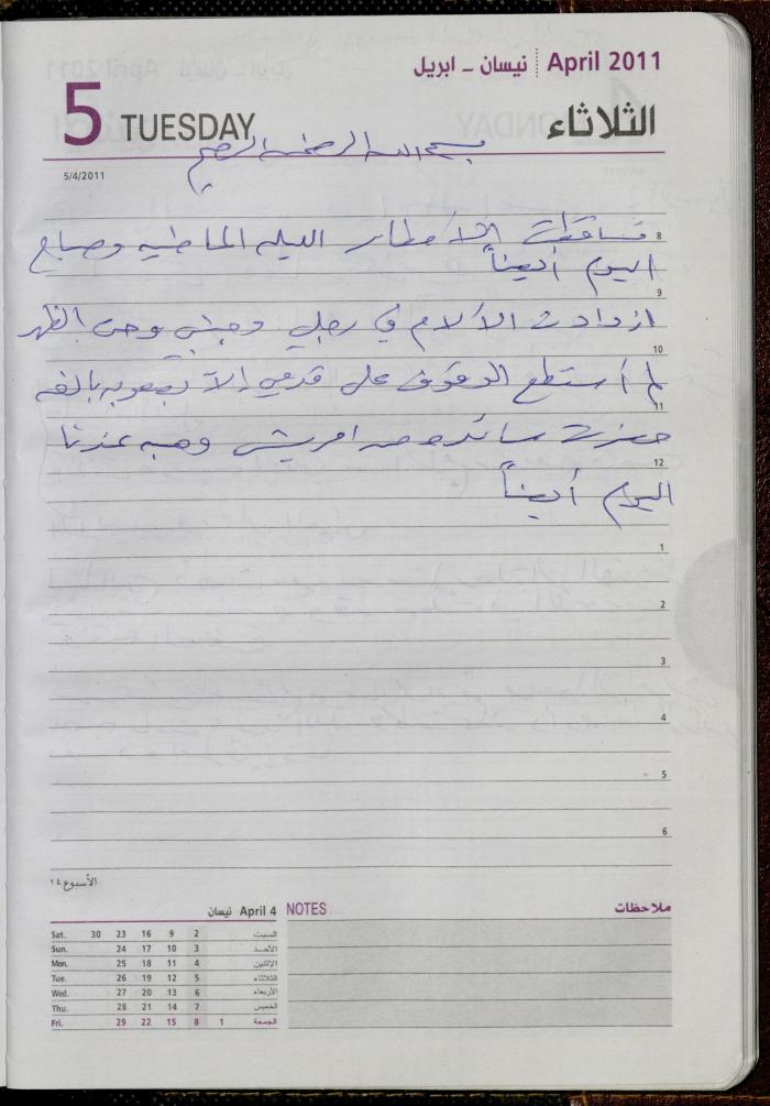 The Diary of Fadeyyeh Darabe, Dura- Hebron, 2011