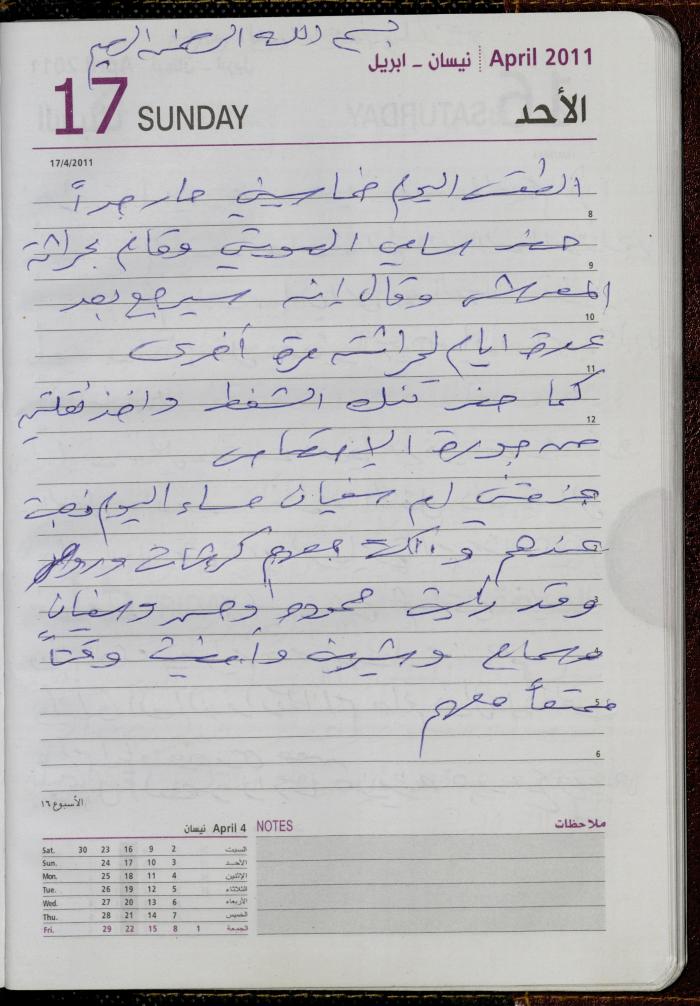 The Diary of Fadeyyeh Darabe, Dura- Hebron, 2011