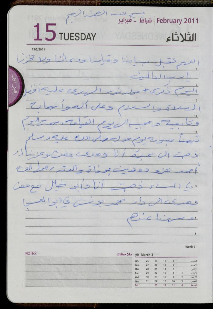 The Diary of Fadeyyeh Darabe, Dura- Hebron, 2011