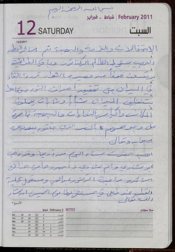 The Diary of Fadeyyeh Darabe, Dura- Hebron, 2011