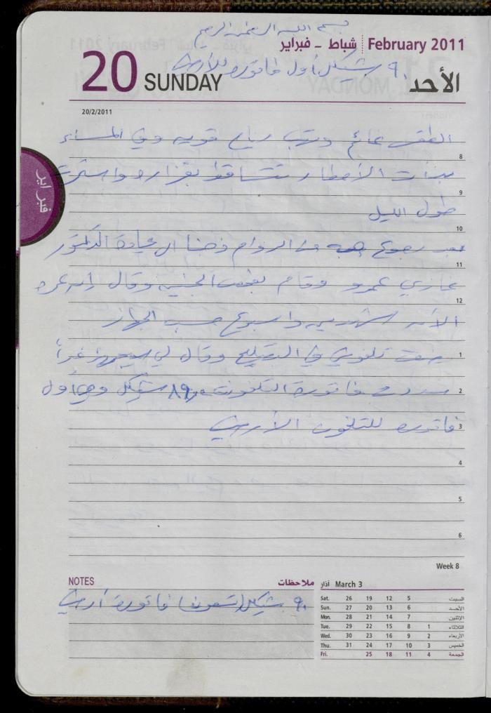 The Diary of Fadeyyeh Darabe, Dura- Hebron, 2011