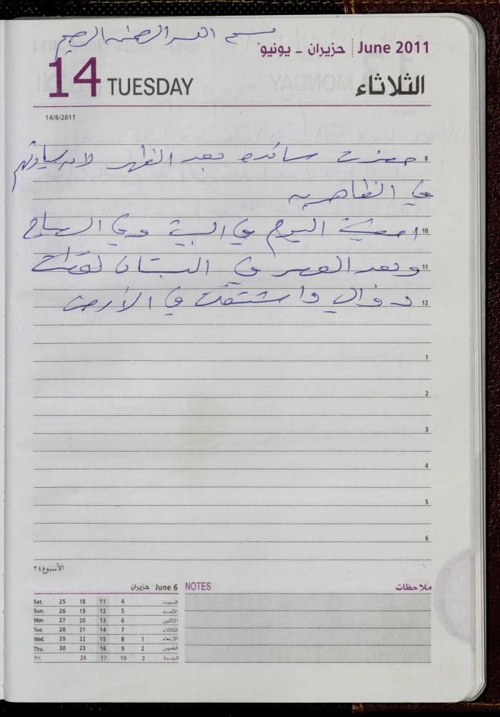 The Diary of Fadeyyeh Darabe, Dura- Hebron, 2011