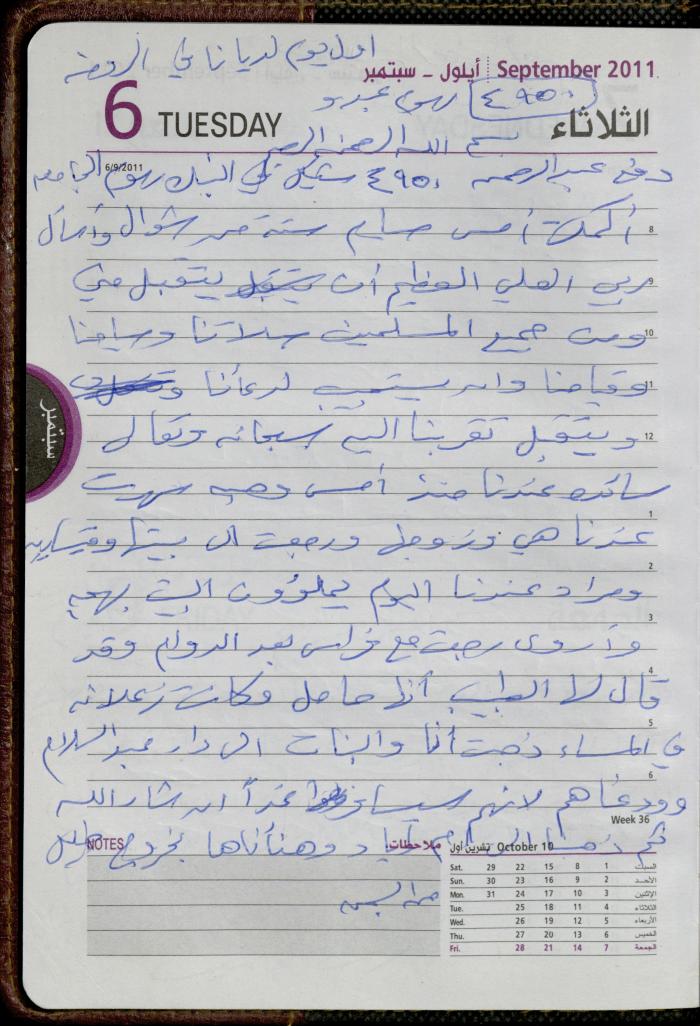 The Diary of Fadeyyeh Darabe, Dura- Hebron, 2011