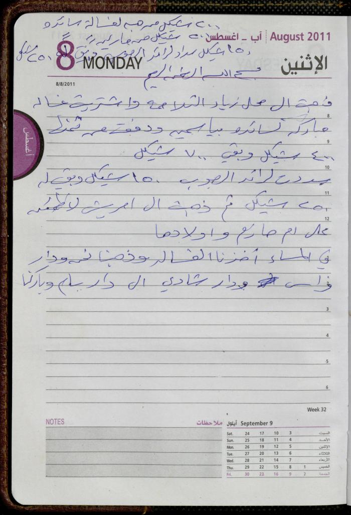 The Diary of Fadeyyeh Darabe, Dura- Hebron, 2011