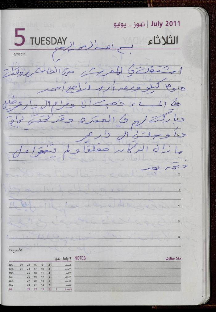 The Diary of Fadeyyeh Darabe, Dura- Hebron, 2011