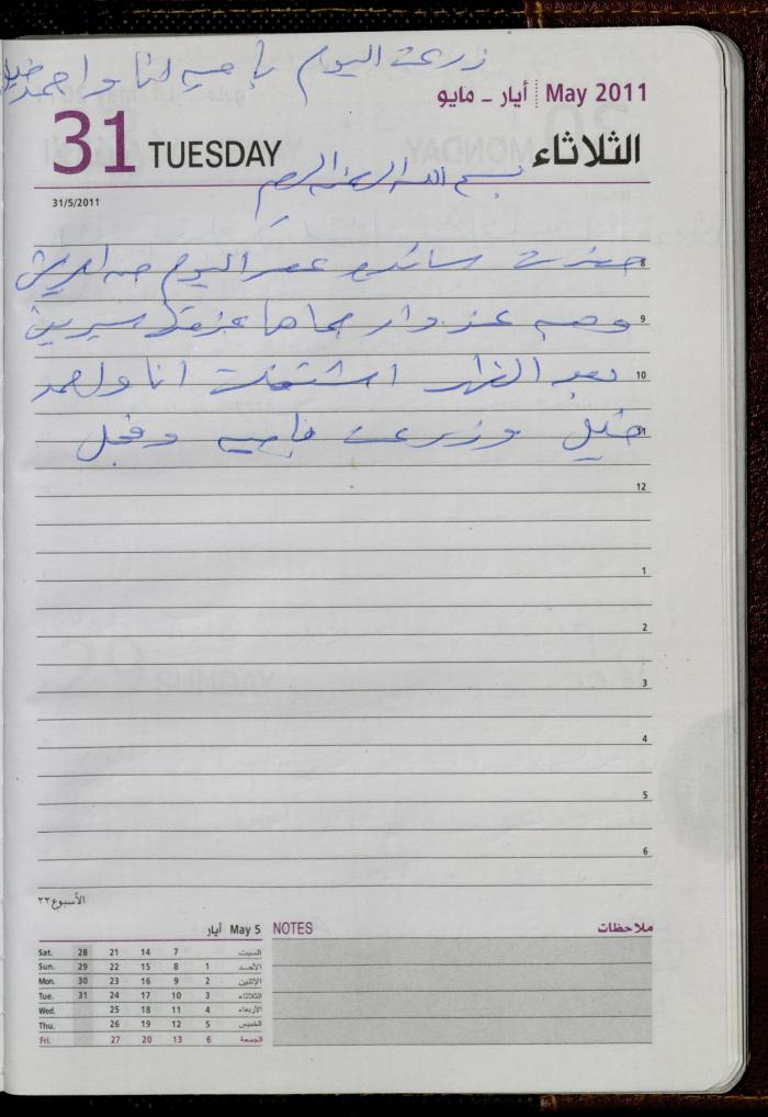 The Diary of Fadeyyeh Darabe, Dura- Hebron, 2011
