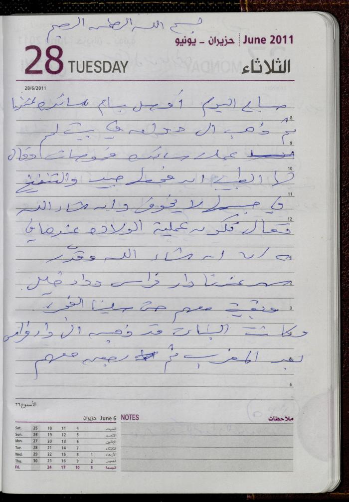 The Diary of Fadeyyeh Darabe, Dura- Hebron, 2011