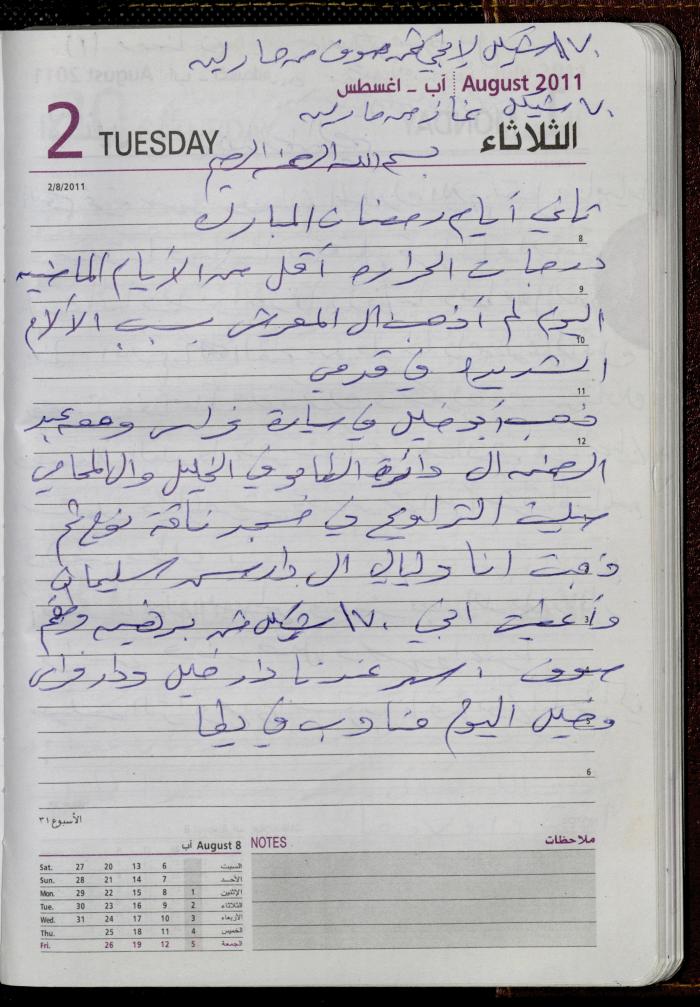 The Diary of Fadeyyeh Darabe, Dura- Hebron, 2011