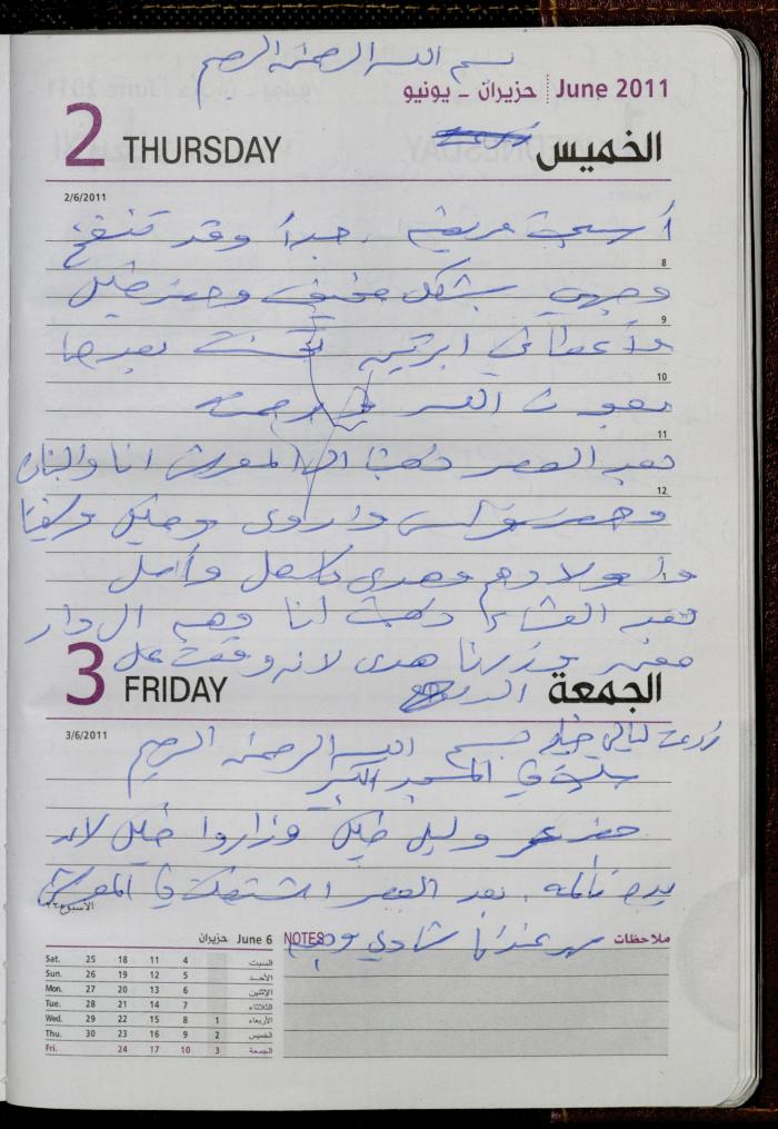 The Diary of Fadeyyeh Darabe, Dura- Hebron, 2011