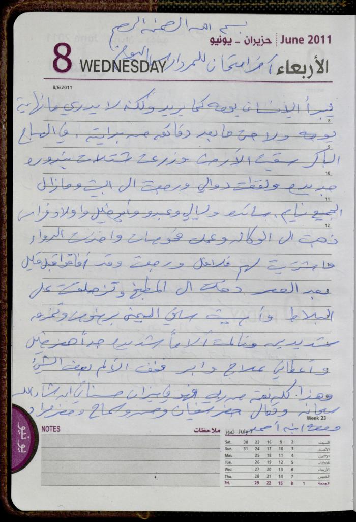 The Diary of Fadeyyeh Darabe, Dura- Hebron, 2011