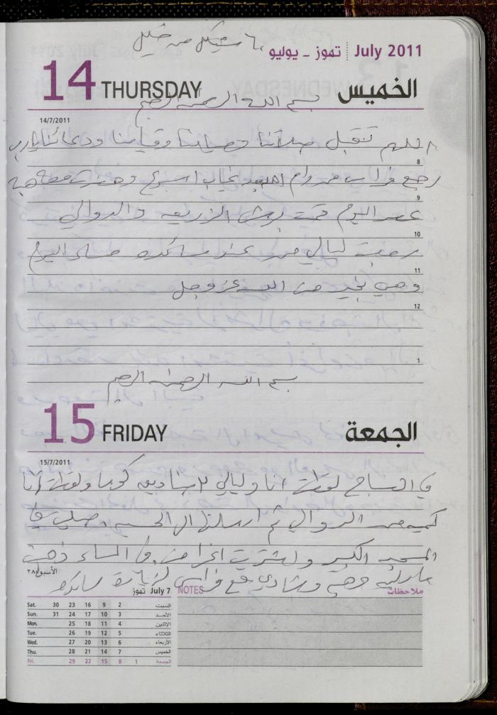 The Diary of Fadeyyeh Darabe, Dura- Hebron, 2011