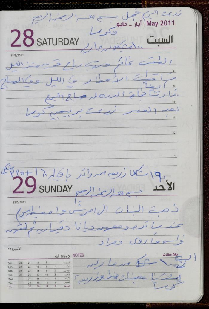 The Diary of Fadeyyeh Darabe, Dura- Hebron, 2011