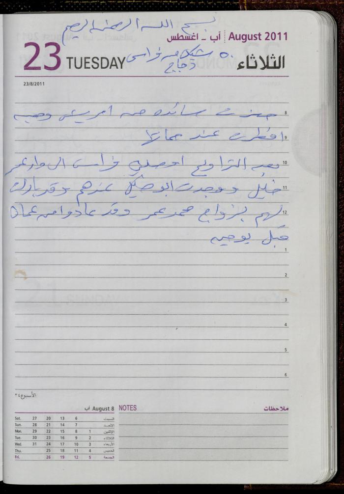 The Diary of Fadeyyeh Darabe, Dura- Hebron, 2011