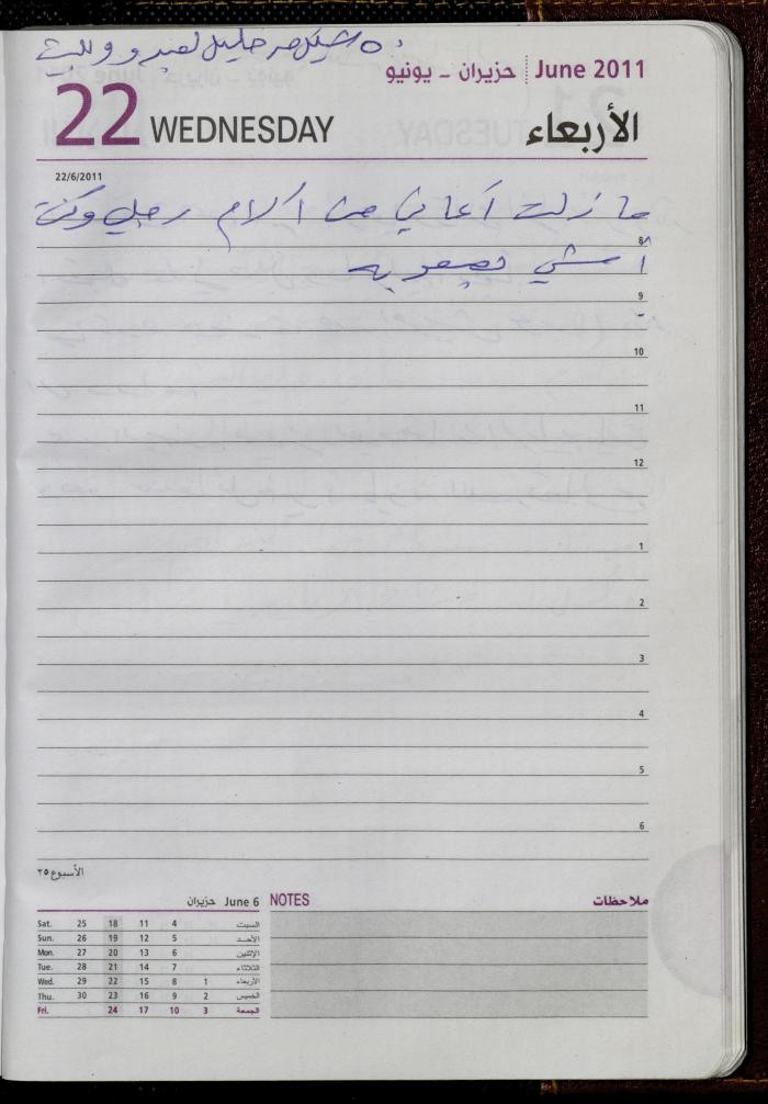 The Diary of Fadeyyeh Darabe, Dura- Hebron, 2011
