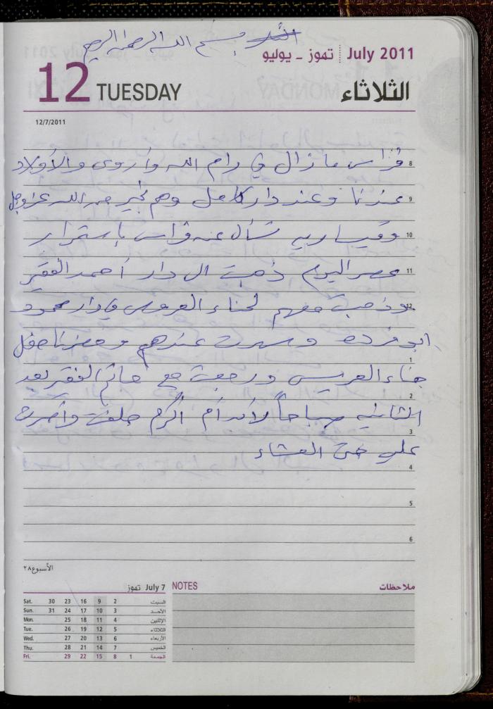 The Diary of Fadeyyeh Darabe, Dura- Hebron, 2011
