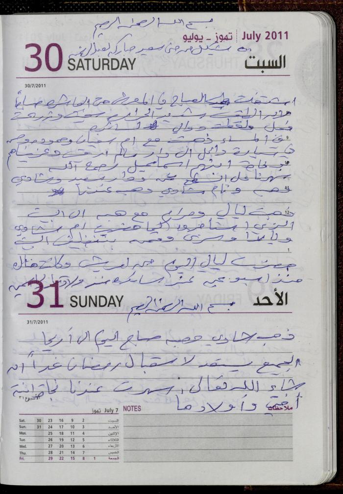 The Diary of Fadeyyeh Darabe, Dura- Hebron, 2011